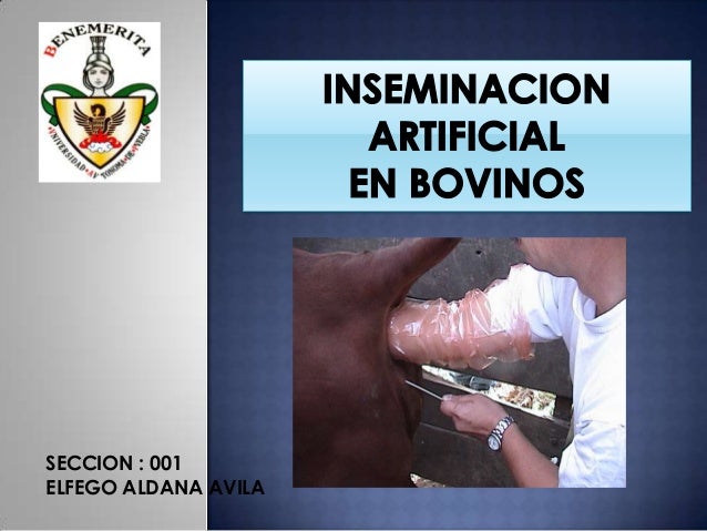 Inseminacion Artificial En Bovinos Pdf